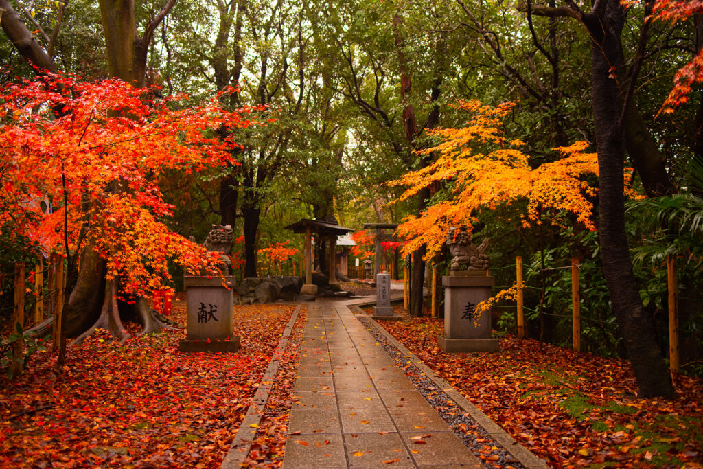 境内は紅葉です